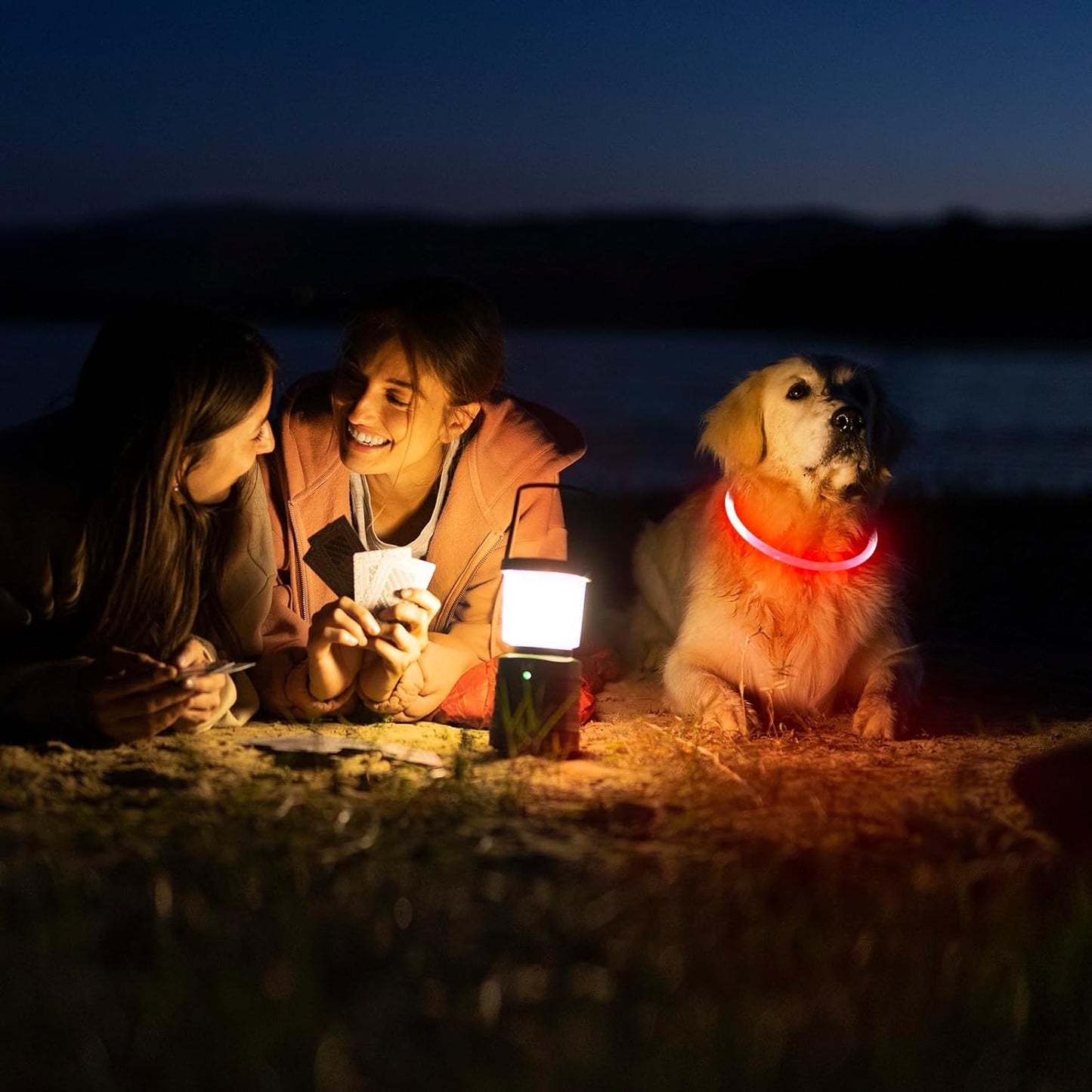 LED Dog Collar - USB Rechargeable Light up Dog Collar Glow in the Dark, LED Dog Necklace Light for Night Walking (Red)