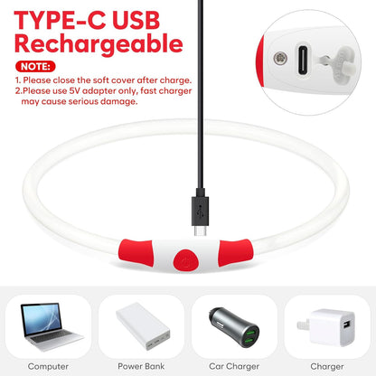 LED Dog Collar -  USB Rechargeable Light up Dog Collar Glow in the Dark, LED Dog Necklace Light for Night Walking (Red)